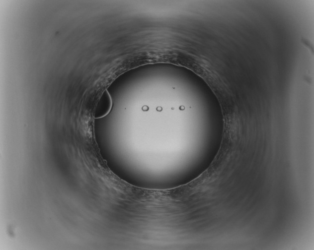 X0000099480770200805161134