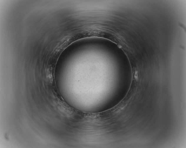 X0000099480771200805161134