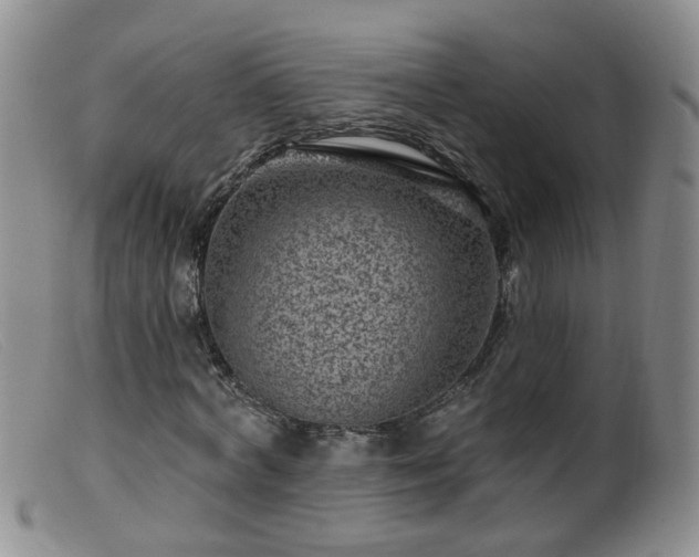 X0000099480772200805161134