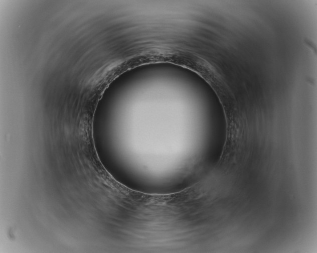 X0000099480773200805161134