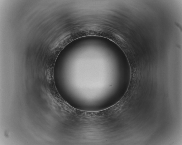 X0000099480774200805161134