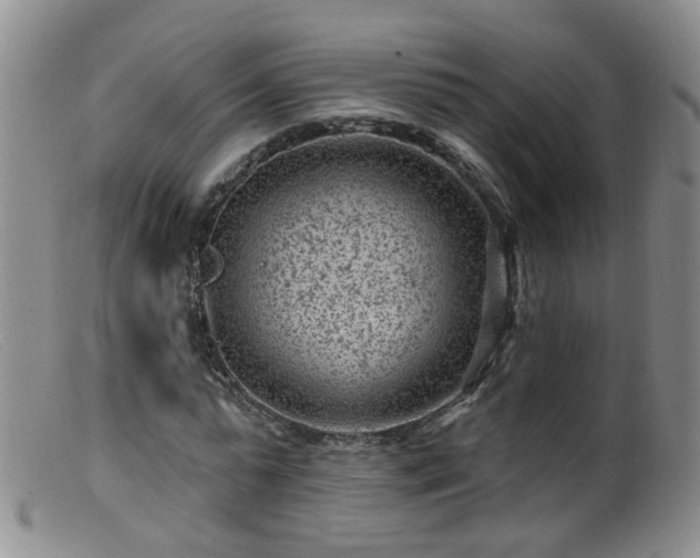 X0000099480775200805161134