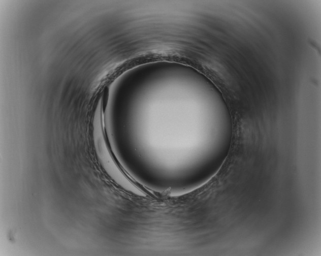 X0000099480776200805161134