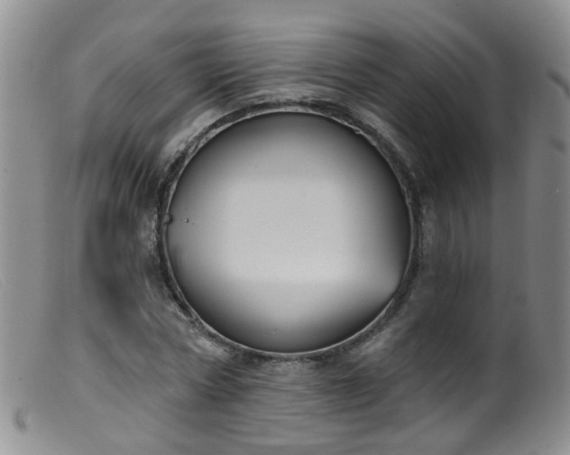X0000099480778200805161134