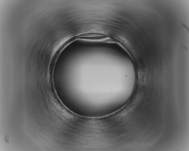 X0000099480780200805161134