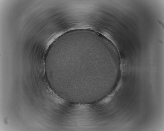 X0000099480781200805161134