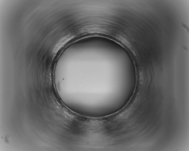 X0000099480782200805161134