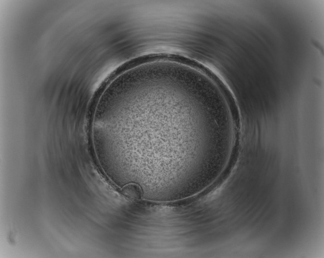 X0000099480783200805161134