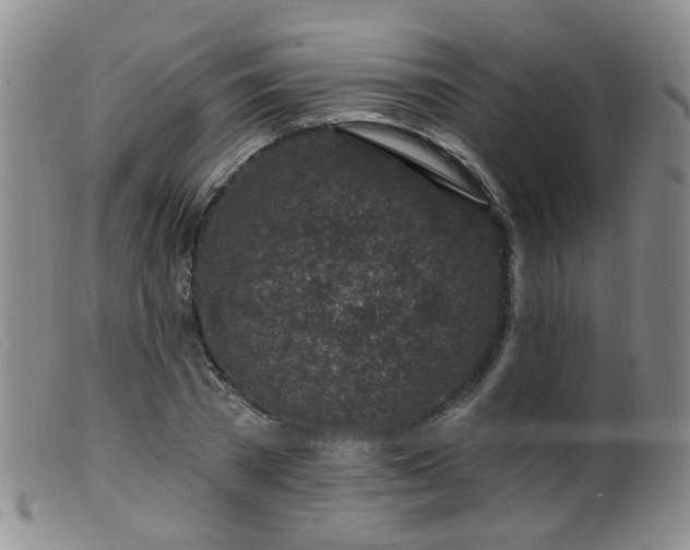 X0000099480785200805161134