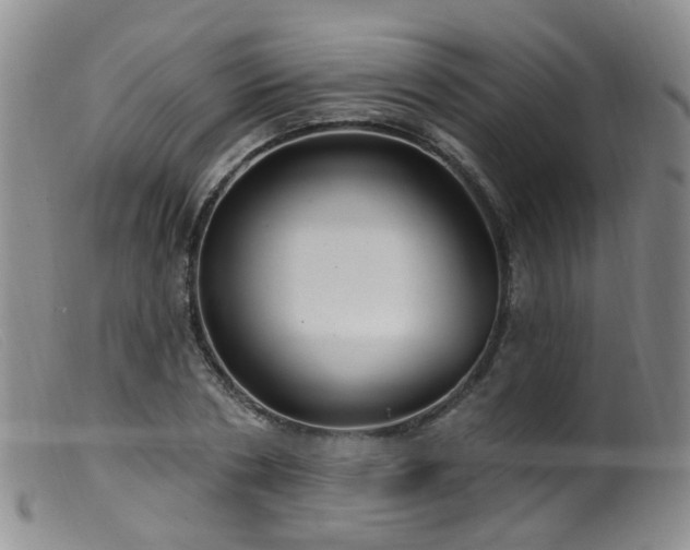 X0000099480786200805161134