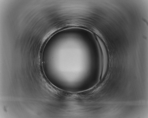 X0000099480787200805161134