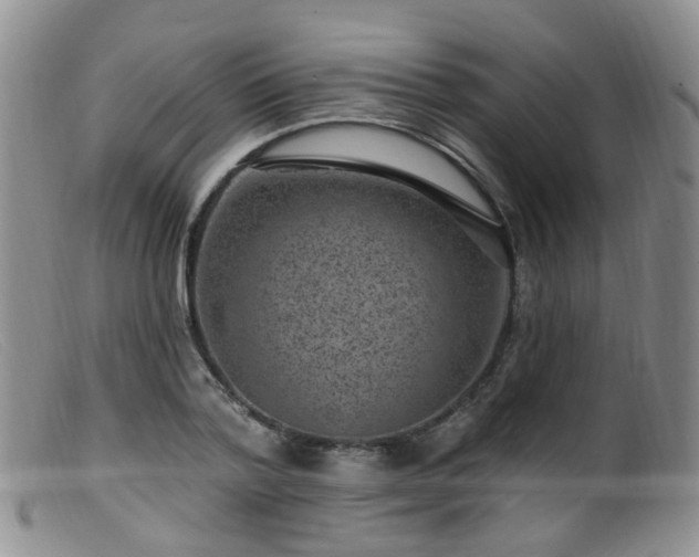 X0000099480788200805161134