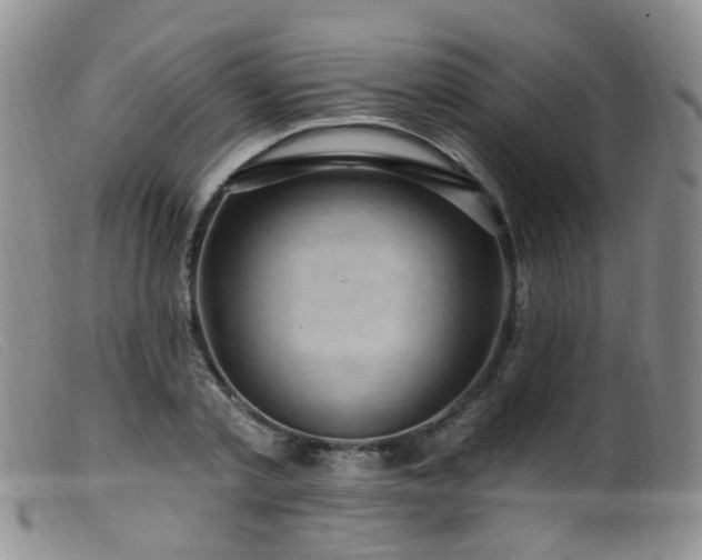 X0000099480789200805161134