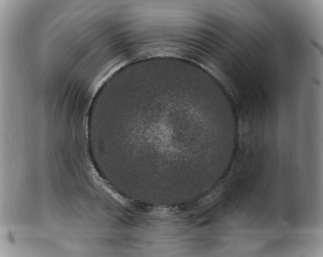 X0000099480790200805161134