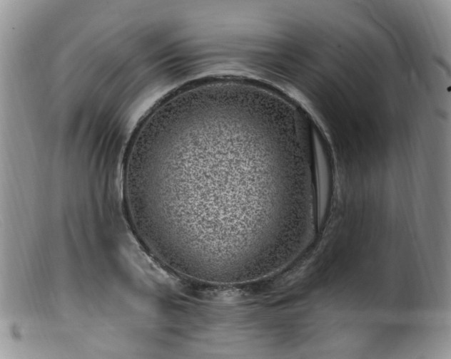 X0000099480791200805161134