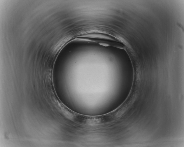 X0000099480793200805161134