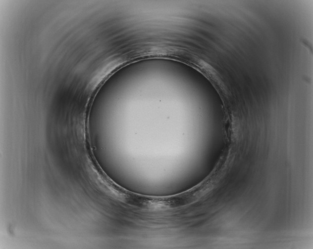 X0000099480794200805161134