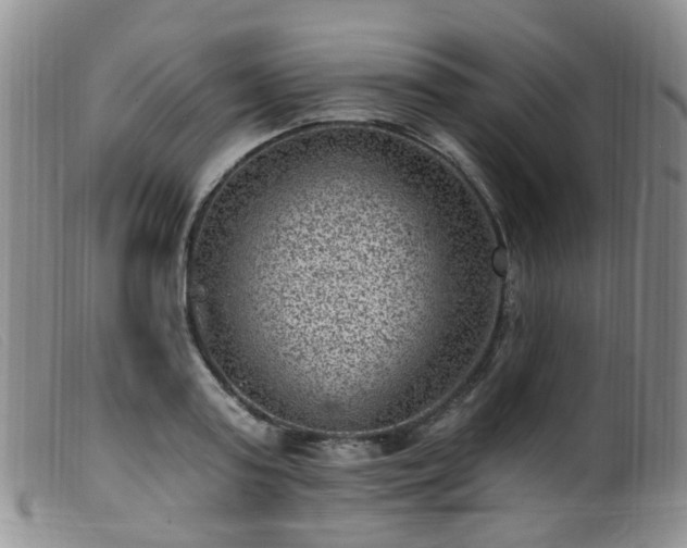 X0000099480795200805161134