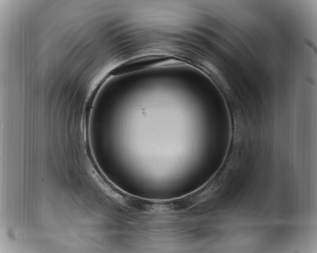 X0000099480796200805161134