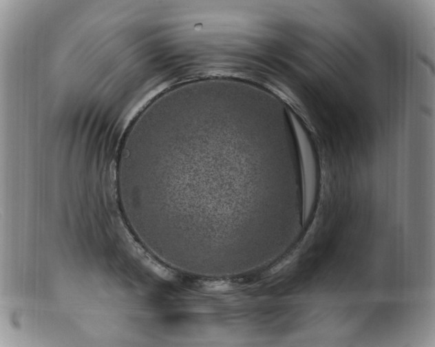X0000099480798200805161134