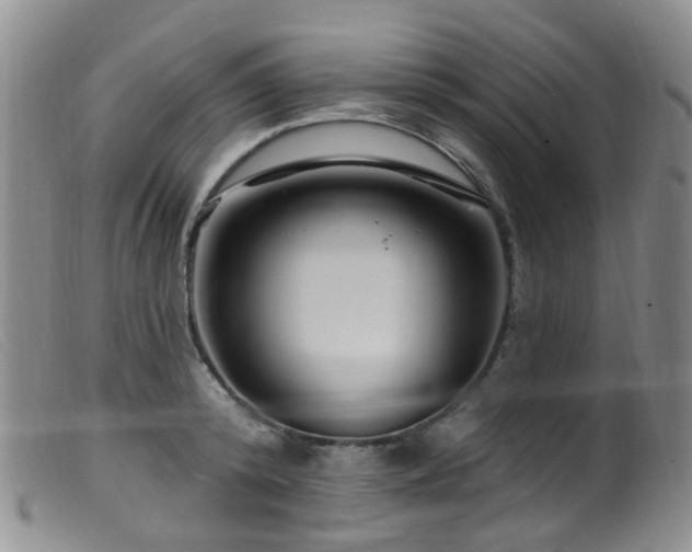 X0000099480800200805161134