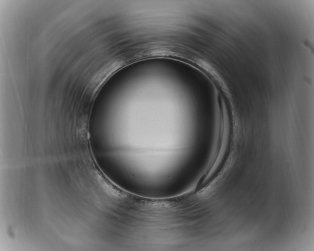 X0000099480801200805161134