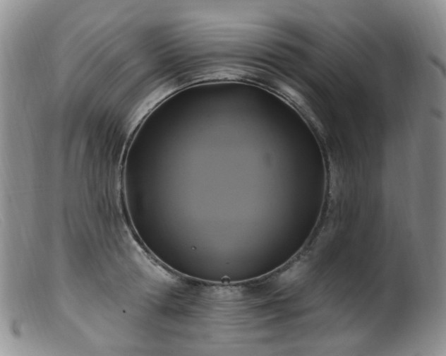 X0000099480802200805161134