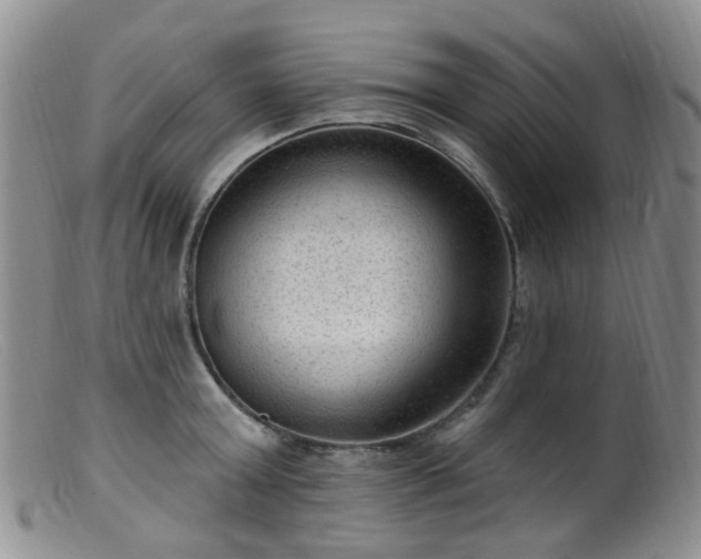 X0000099480803200805161134