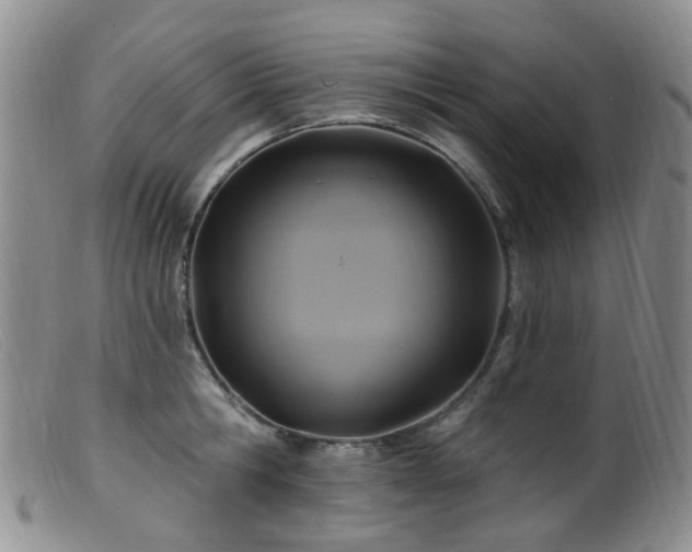 X0000099480806200805161133