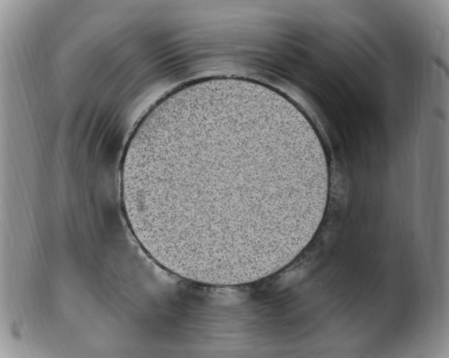 X0000099480807200805161133