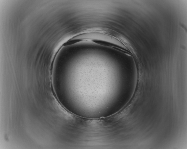 X0000099480808200805161133