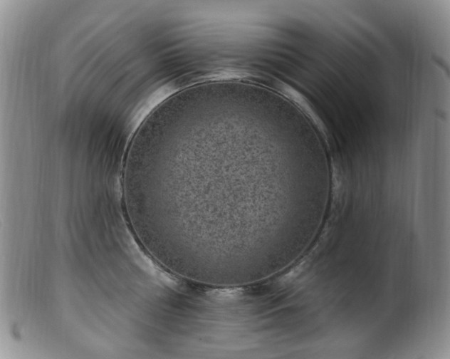 X0000099480810200805161133