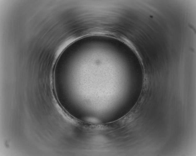 X0000099480811200805161133