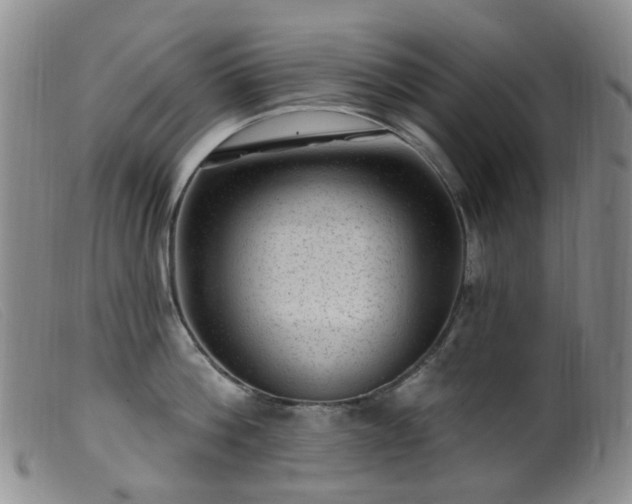 X0000099480812200805161133