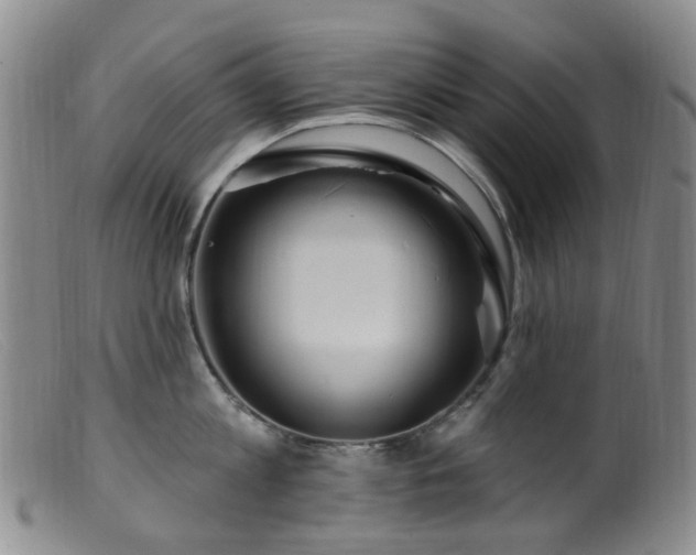 X0000099480813200805161133