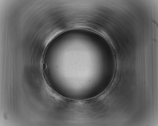 X0000099480814200805161133