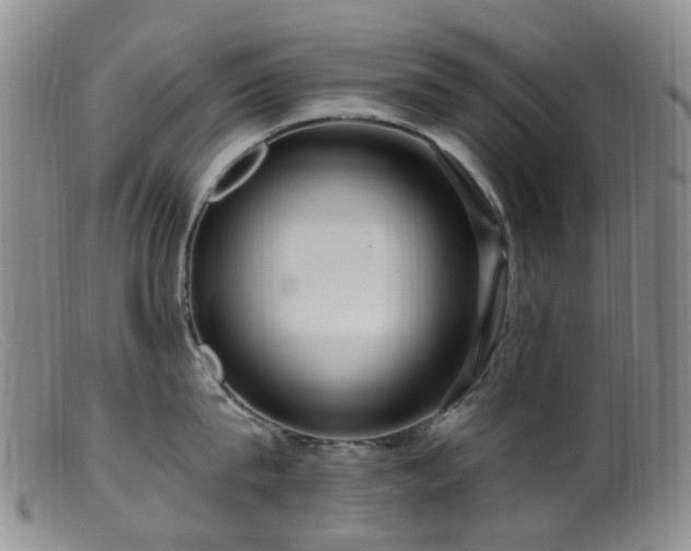X0000099480815200805161133