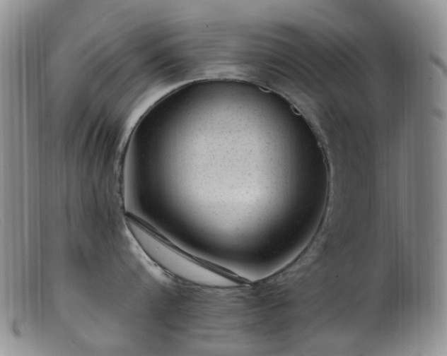 X0000099480816200805161133