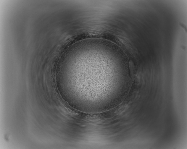 X0000099480817200805161132