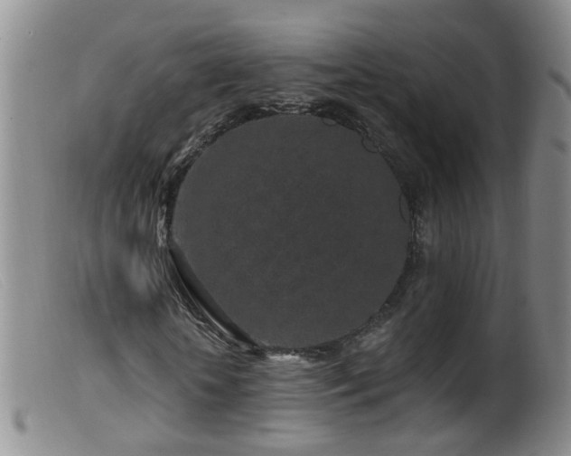 X0000099480818200805161132