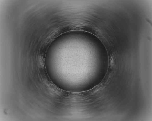 X0000099480819200805161132