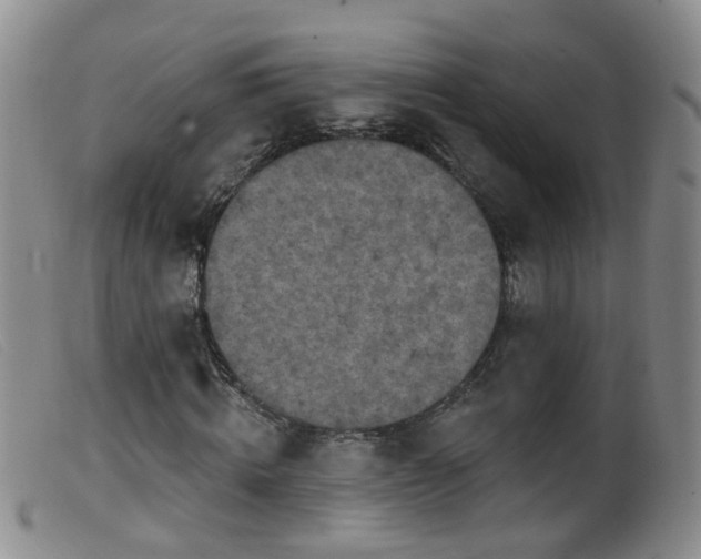 X0000099480820200805161132