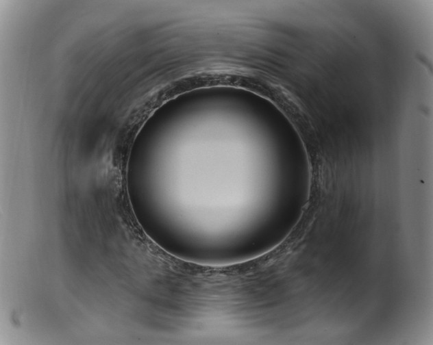 X0000099480821200805161132