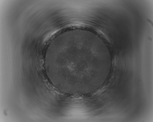 X0000099480822200805161132