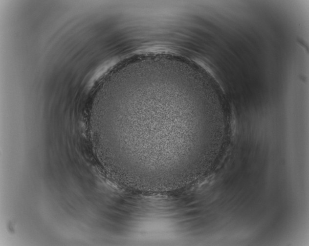 X0000099480823200805161132