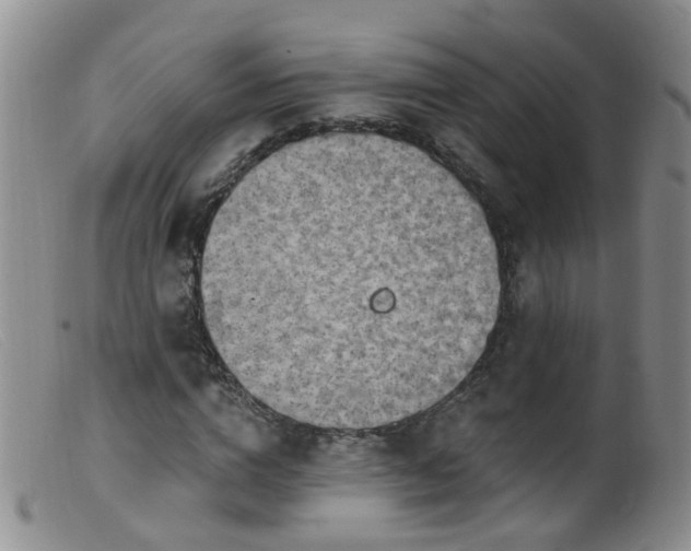 X0000099480824200805161133