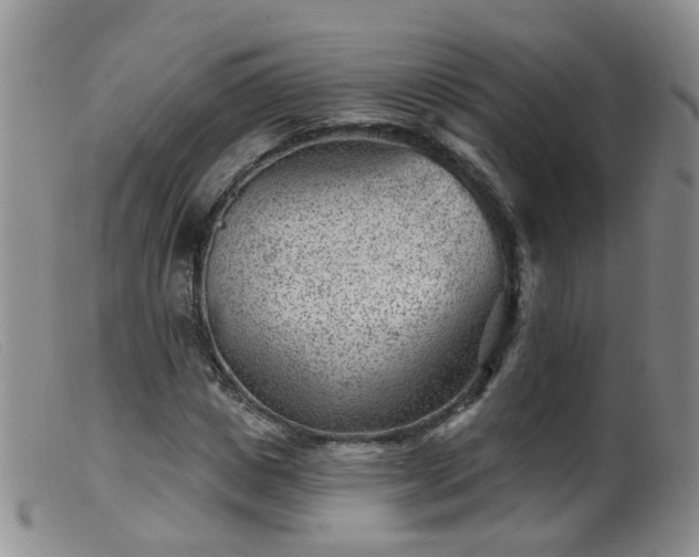 X0000099480825200805161133