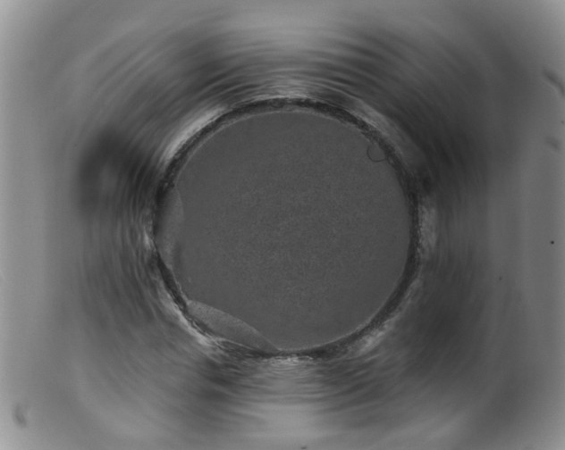 X0000099480826200805161133