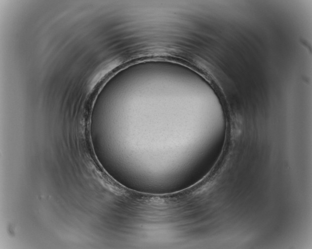 X0000099480827200805161133