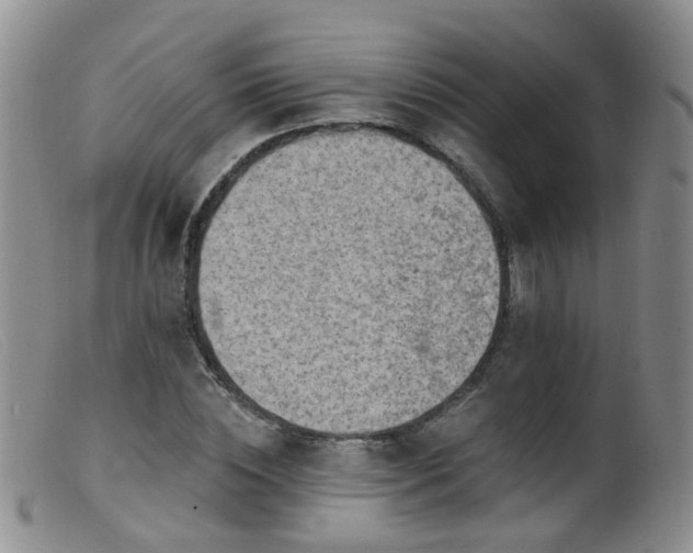 X0000099480828200805161133